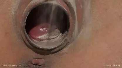 Twee leden in het poesje en één in de kont van de onverzadigbare nederlandse gratis porno hoeren.