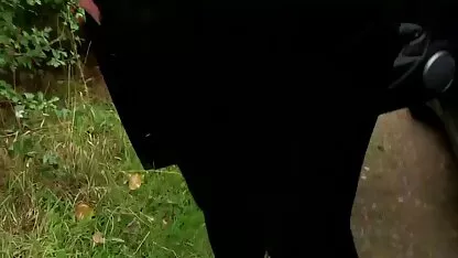 Erotische massage en anale seks echte nederlandse porno met geile Evelina